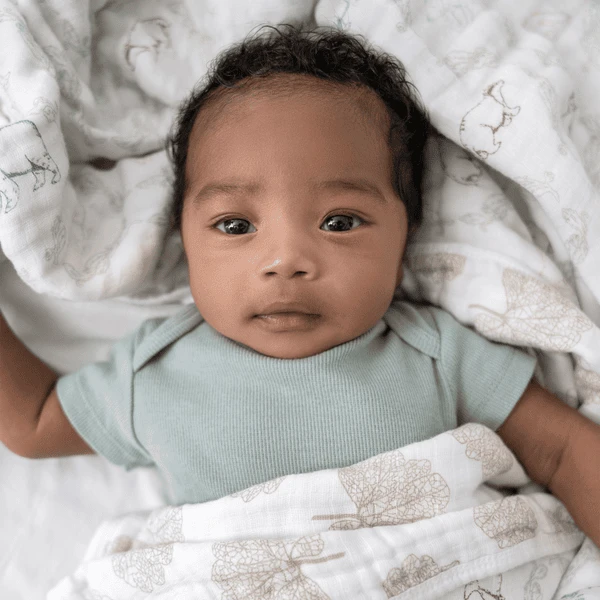 Aden +anais™ Mousseline Deken Harmony 5 Aden +anais™ Mousseline Deken Harmony - Afbeelding 3