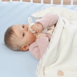 FEHN Knuffeldeken Baby Love Schaap Paul -Roba || Alvi || Pinolino Winkel fehn knuffeldeken baby love schaap paul a005535 4
