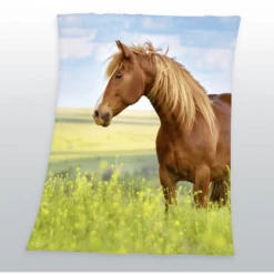 HERDING Vlies Deken Paard -Roba || Alvi || Pinolino Winkel herding vlies deken paard a230626 2