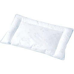 JULIUS ZÖLLNER Kussen Dons 40 X 60 Cm