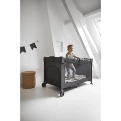 KOELSTRA Reiswieg Travel Sleeper T5 Met Niveau Grijs -Roba || Alvi || Pinolino Winkel koelstra reiswieg travel sleeper t5 met niveau grijs a319930 4